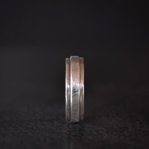 Anillo "Feres" Plata 925